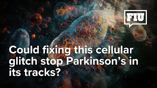 New discovery could slow Parkinson's disease and reduce life-threatening  lung injury | FIU News - Florida International University