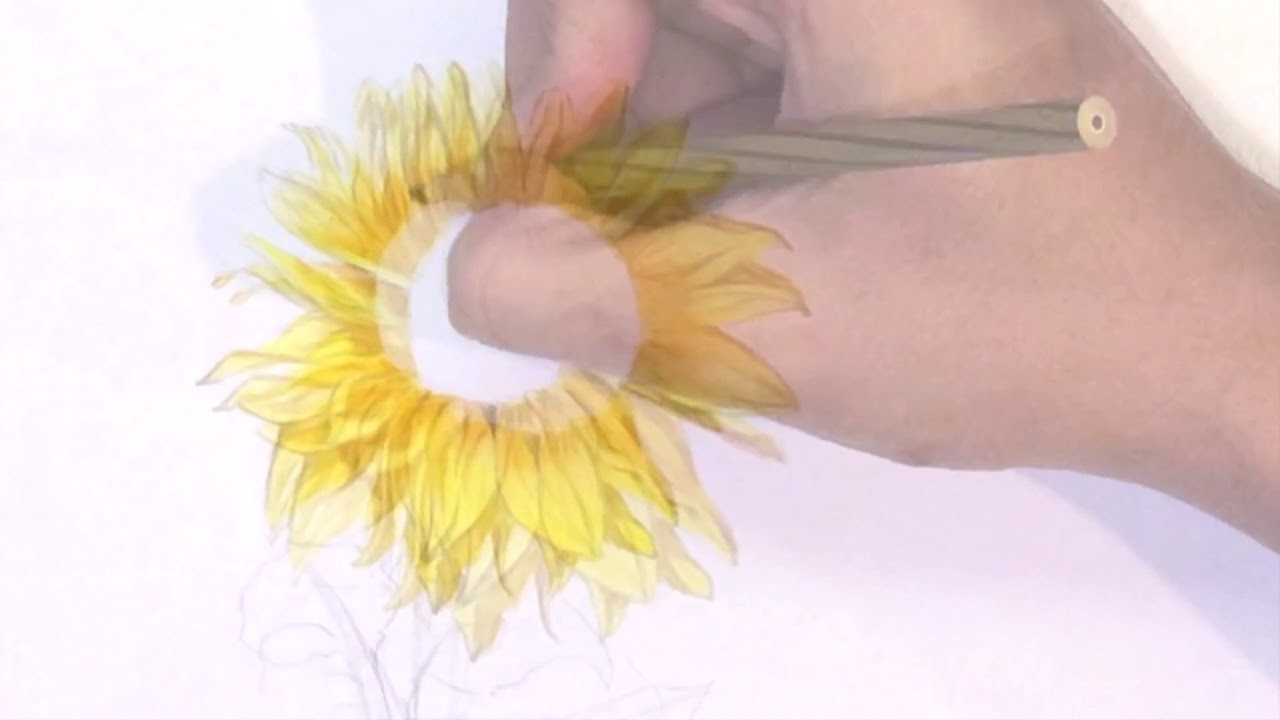 向日葵木彩习作_sunflower colorpencil - YouTube
