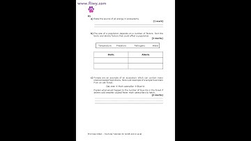 EDEXCEL GCSE SEPARATE SCIENCE PHYSICS PAPER 2 2023 QUESTION PAPER WITH MARK SCHEME (Higher Tier)