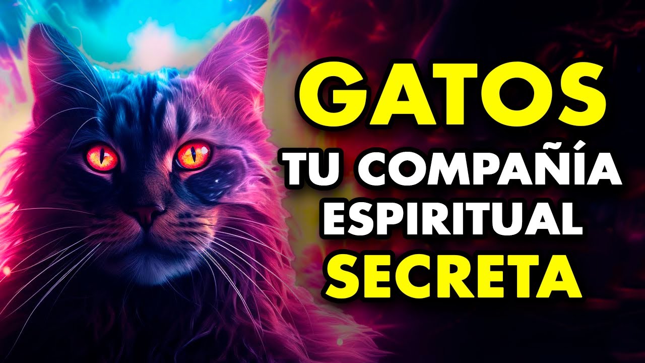 LOS GATOS TE PROTEGEN SIGNIFICADO Espiritual SECRETO De Los Gatos los-gatos-te-protegen-significado-espiritual-secreto-de-los-gatos