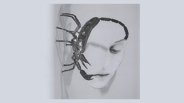 Tortoise - "Touch" (2025) (Full Album)