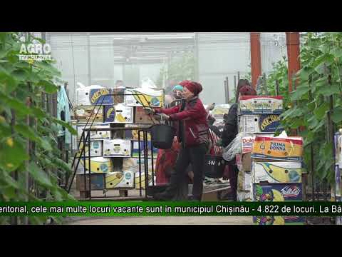 Video: Macy închide 68 De Magazine și Reduce 10.000 De Locuri De Muncă