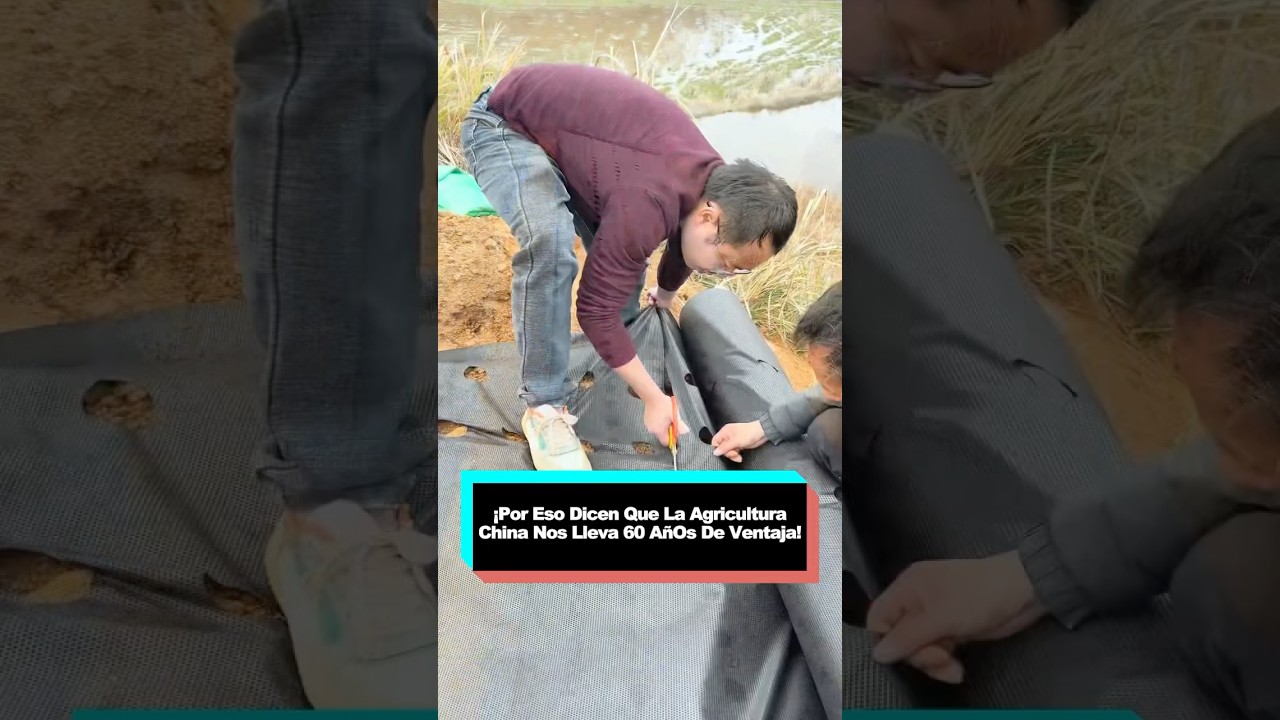 Por Eso Dicen Que La Agricultura China Nos Lleva 60 AñOs De Ventaja! 
