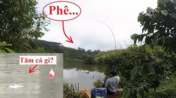 Clip câu lục săn hàng hồ tự nhiên p1: Tăm cuốn ổ và pha giật lục bạo lực