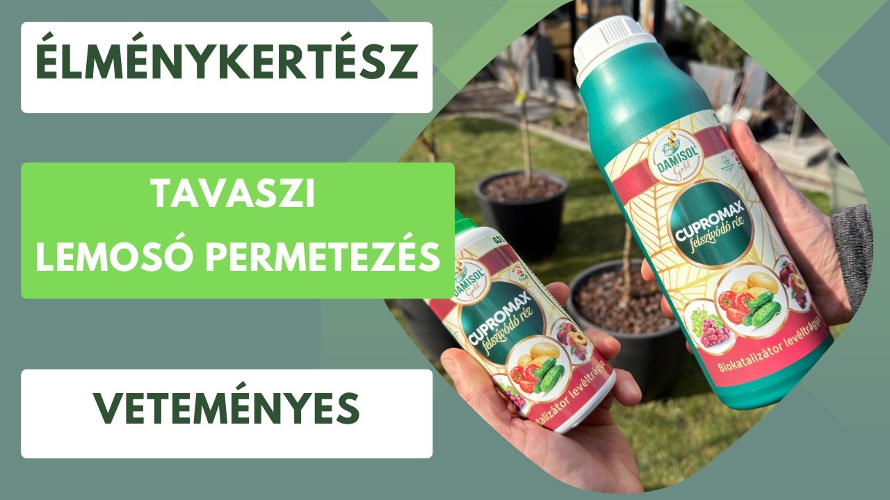 Tavaszi lemosó permetezés a vegyszermentes kertben🏡