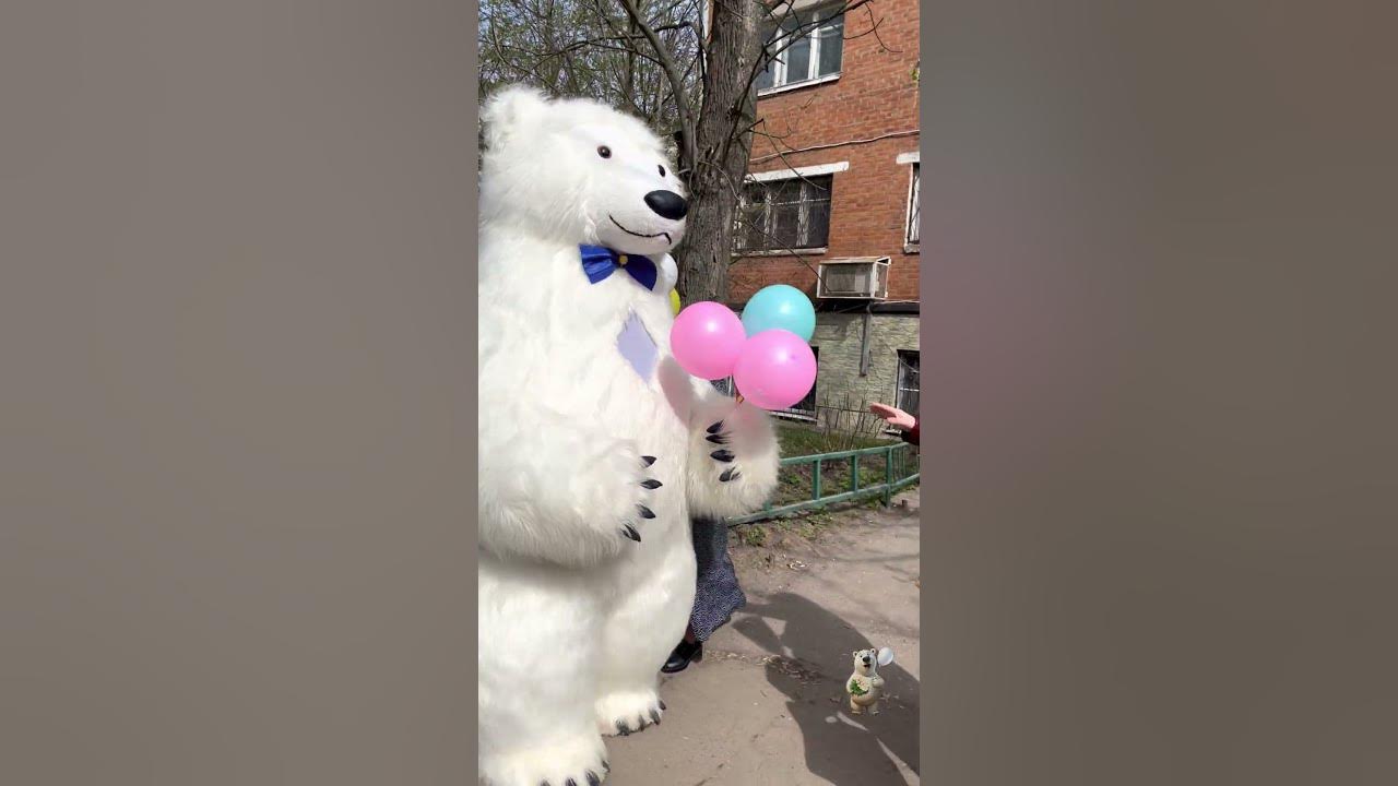 День медведя. Медведь на день рождения минск. Медведь на день рождения минск. Постовой медведь на день рождения. Белый мишка ростовая кукла.