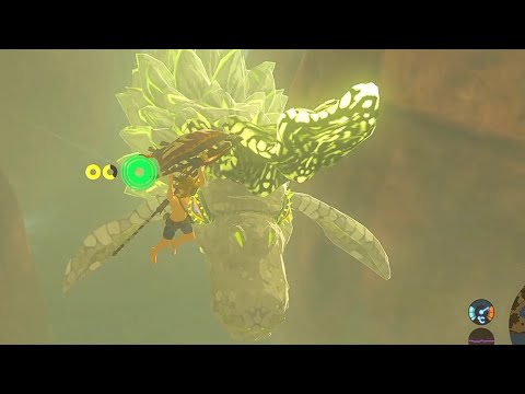 依頼を受けて、ドラゴンの上で転がリンクしてみた