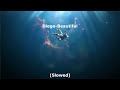 Diego Beautiful Slowed mp3
