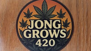 INDOOR SPIDER FARMER AND AC INFINITY 2X2 GROW TENT UPDATES