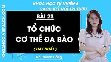 Khoa học tự nhiên 6 Bài 23: Tổ chức cơ thể đa bào - trang 79, 80, 82 | Kết nối tri thức (HAY NHẤT)