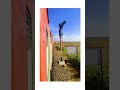 #youtubeshorts #publicreactin #public #viral #shortvideo #travelblog #trainlovers #indianrailways
