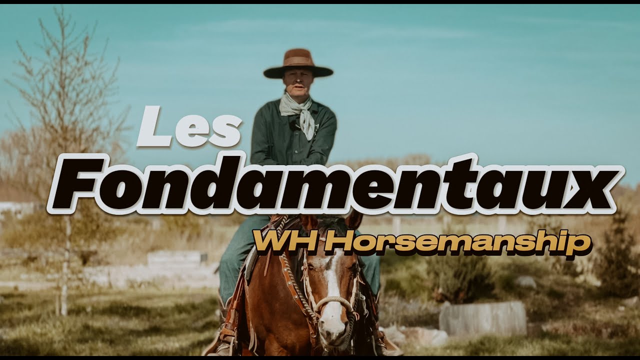 FONDAMENTAUX EN EQUITATION WESTERN |  Découvre la méthode WH Horsemanship de William Haar
