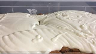 Tiramisù made by Luigi Acampora