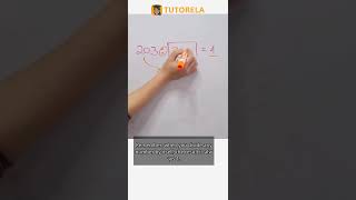 Finding the Missing Divisor in 203 ÷ ? = 1 #Math #OrderOfOperationsForBeginners