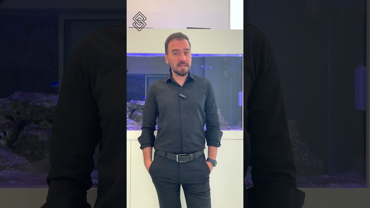 Elaynerlər necə hazırlanır?