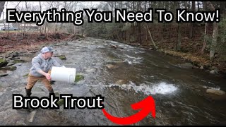 Trout Stocking Our Own Creek In Pennsylvania!