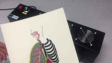 Swell Form Graphics Machine by American Thermoform