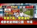 安鼠之亂