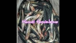 Hamsi̇ Temi̇zleme Di̇lekin Mutfak Dünyası