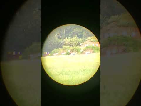 DPMS G2 Bull. 700-1000 yards