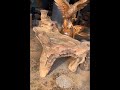 Amazing Carpenter Woodworking | Best Skills Wood Cutting #Shorts