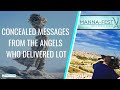 CONCEALED MESSAGES FROM THE ANGELS WHO DELIVERED LOT | EPISODE 955