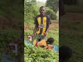 My friend as the director of..K .F KIGANWA FOUNDATION From Uganda county Africa