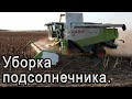 Уборка подсолнечника 2020! CLAAS Lexion 580.