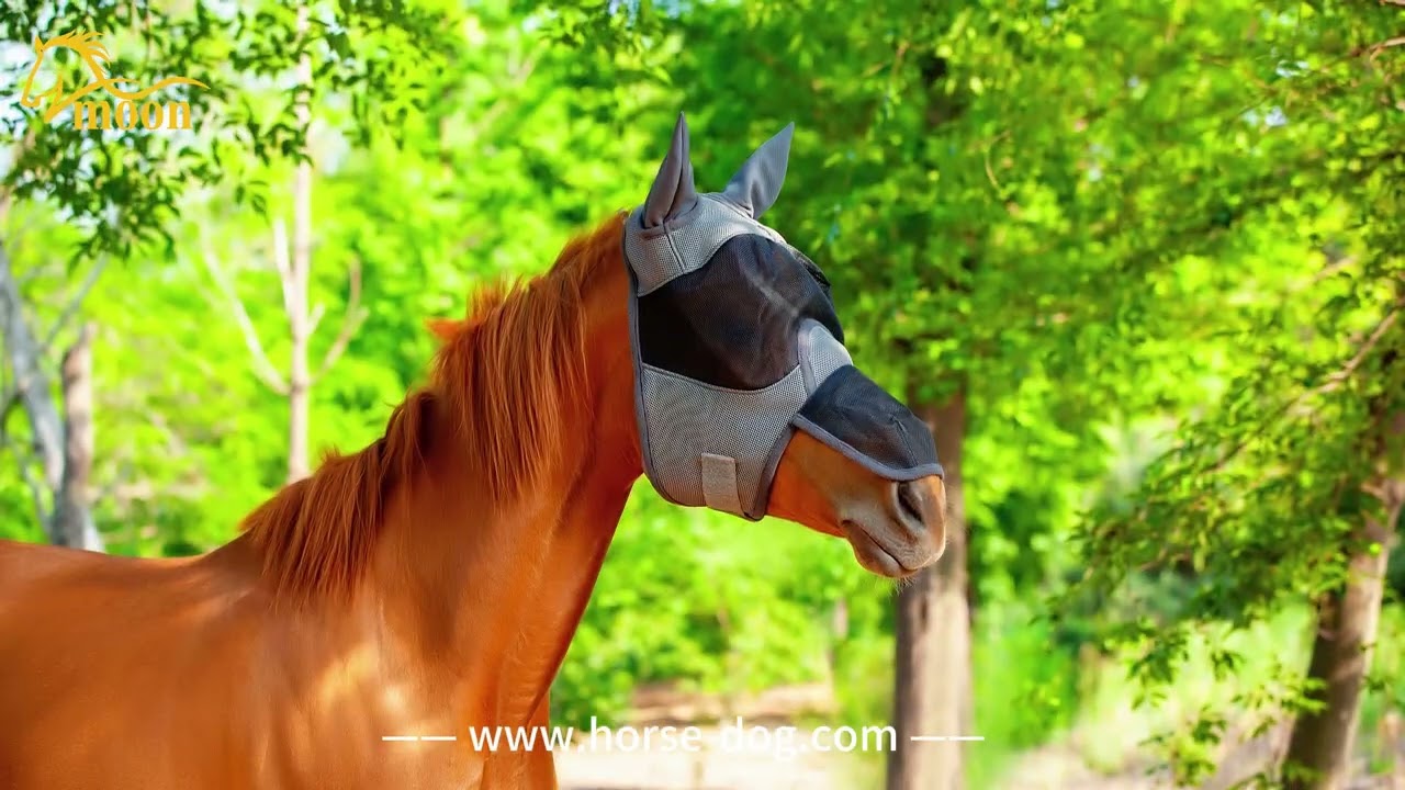 Fly Masks For Horses / Horse & Pony Fly Protection
