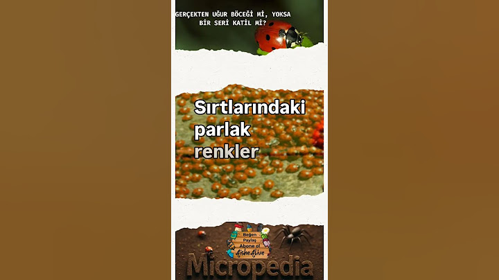 Uğur böcekleri; seri katil ifşa, şaşırtıcı gerçekler şok ilginç entomoloji bilgiler 🫢🧐🤔