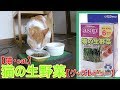 【猫・cat】猫の生野菜【グッズレビュー】