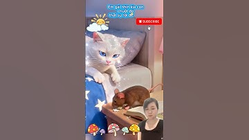 Con chuột đáng ghét #hoathinh #hoathinhvuinhon