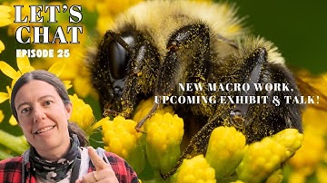 Wednesday recap: New macro work, exhibit and talk