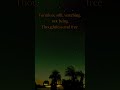 A journey through death and into another place #ambient #guitar #fingerstyle