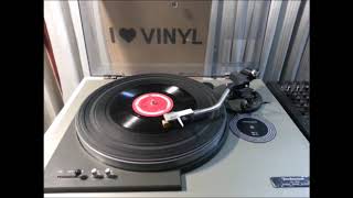 Oba Langin Innam - Gypsies Vinyl Vinyl.lk