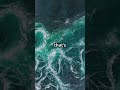 Ref:eJXkdQo2Sx4 The maelstrom: norway's ocean vortex!  #mysteryinside #mystery