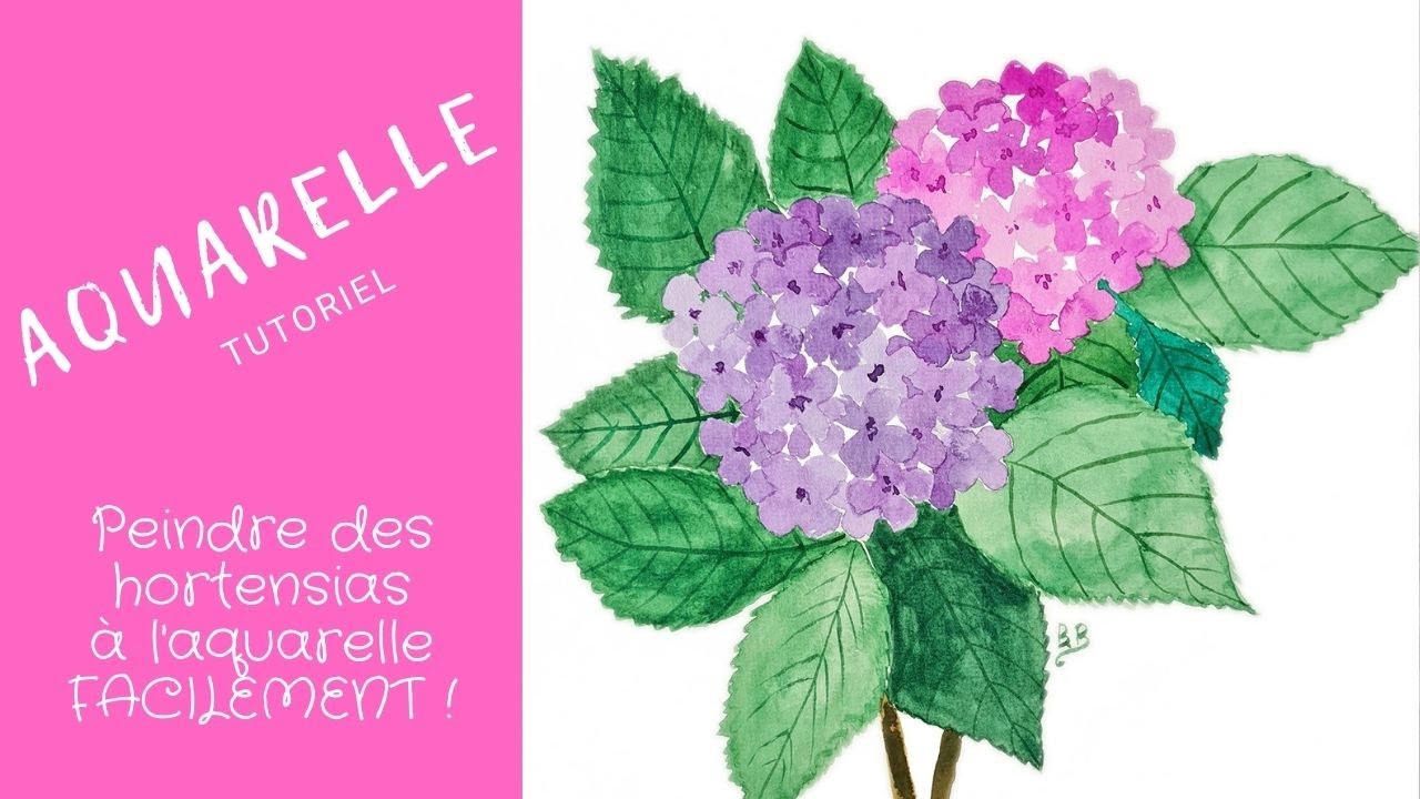 Peindre des hortensias à l'aquarelle. Tutoriel aquarelle facile. Hydrangeas  in watercolour. - thptnganamst.edu.vn