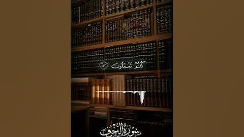 تلاوة من صلاة الفجر من سورة الزخرف ﴿ ٦٦ _ ٨٢ ﴾للأخ القارئ: أبي عبد العزيز #محمد_المسهري* .