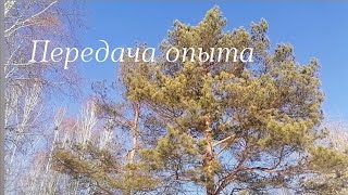 Передача опыта