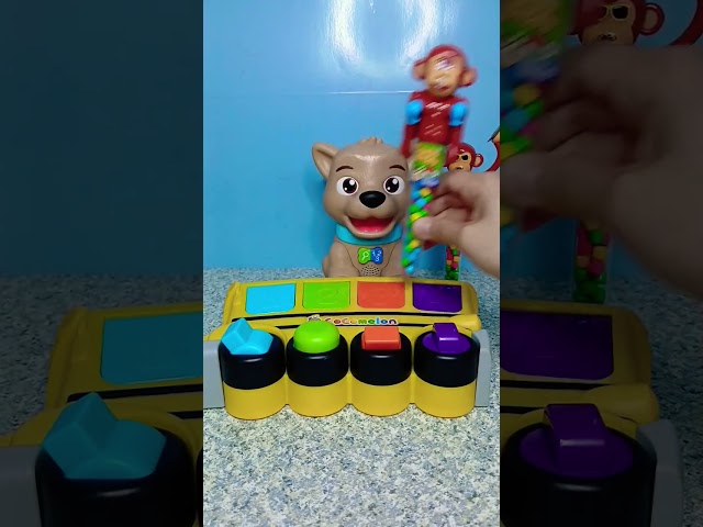 Fun colorful cocomelon pop n play pals