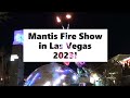 Las vegas mantis fire  music show on fremont street east in 2023