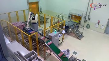 Robotic Palletizer | Clearpack