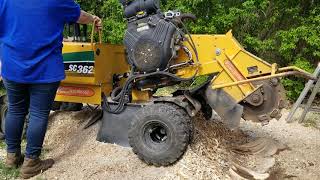 4 Seasons Property Maintenance Grinding Down a Silver Maple Tree Stump in Dayton, Ohio. Part 2