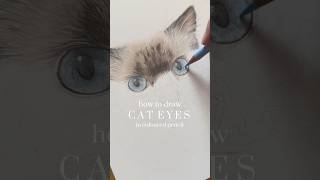 How to draw blue cat eyes in coloured pencil ✍🏼 #catdrawing #petportrait #colouredpencildrawing How to draw blue cat eyes in coloured pencil ✍🏼 #catdrawing #petportrait #colouredpencildrawing