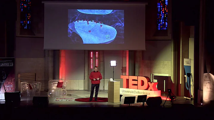 Our Brain, This Black Box | Daniel Choquet | TEDxUniversitDeB...