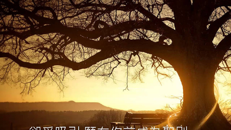 新補充本詩歌 463 -成為聖別