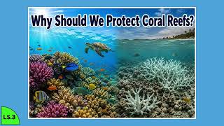 Grade 4 Reading | Why Should We Protect Coral Reefs | Read Aloud
