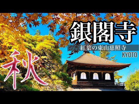 【京都の紅葉】一人で歩く秋の銀閣寺 -東山慈照寺-