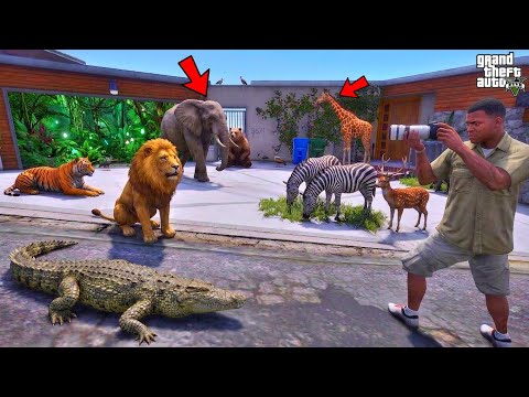 Franklin Collecting Secret Elemental Animals in GTA 5 