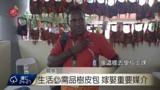 太平洋藝術節 27島國展獨特手工藝品 2016-06-06 TITV 原視新聞